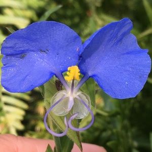 Meet your Posher, Leah